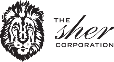 developer-logo