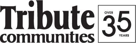 developer-logo