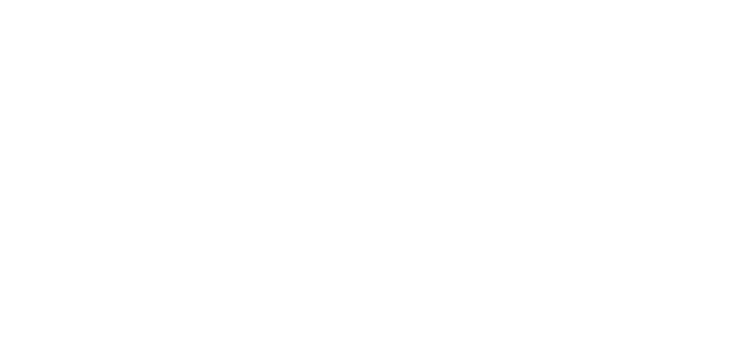 developer-logo